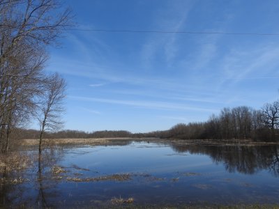 2015-04-14 at 09-50-50.jpg