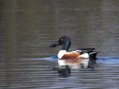 2015-04-14 at 10-07-23.jpg