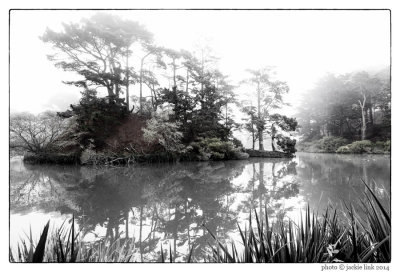 Fog at Stow Lake_bw.jpg