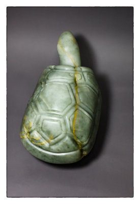 Jill's Stone Turtle