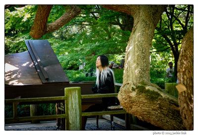 Pianist in Botanical Garden.jpg