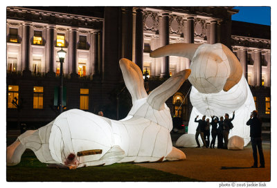Rabbits at City Hall.jpg