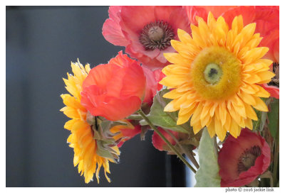 Silk flowers at 396 mm.jpg