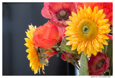 Silk flowers_ACR at 396 mm.jpg