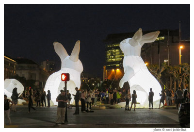 Rabbits_Dont Walk_ACR at 75 mm.jpg