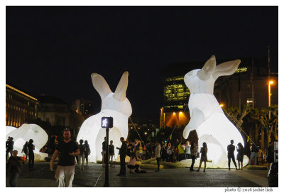 Rabbits_Walk-ACR at 75 mm.jpg