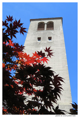 Leaves at SFAI at 44 mm.jpg