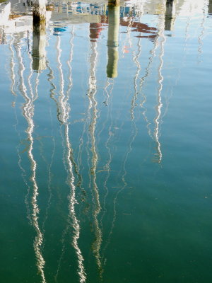 Marina Reflections