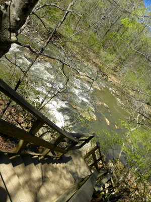 Stairs along the Eno