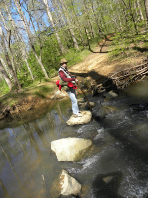 Precarious River Crossing