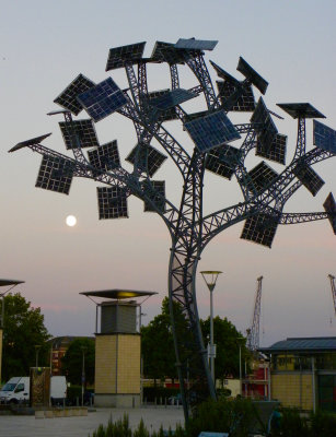Solar Panel Tree and Full Moon