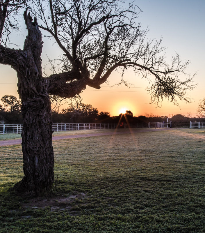 Sun Rise at the Ranch