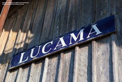 Lucama