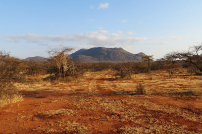 Countryside, Samburu