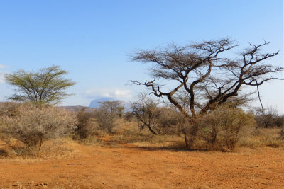 Landscape, Samburu