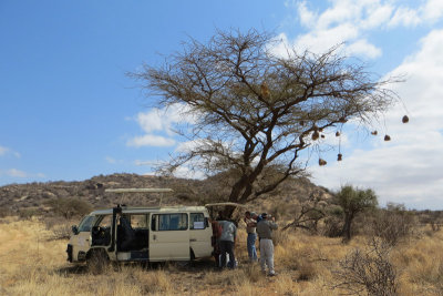 Lunchtime in the field