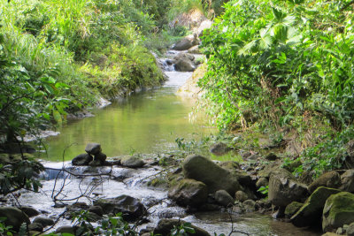 Canopy Lodge and birding sites