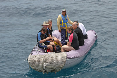 Snorkelers returning to the boat