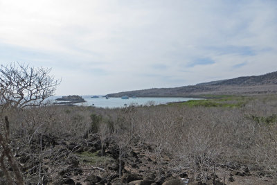 Santa Fe Island view