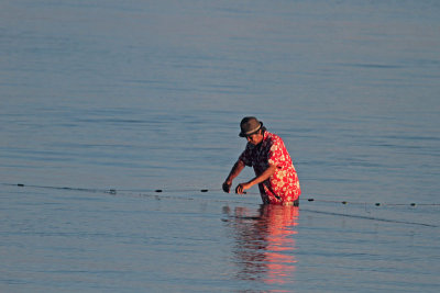 Setting a net