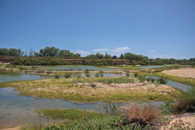 Kawaiele Waterbird Sanctuary
