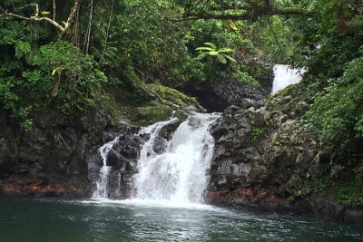 Taveuni waterfall