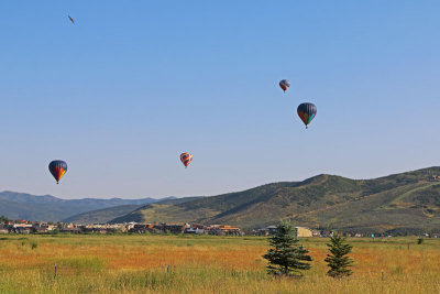 Balloons over the Swaner Preserve