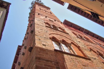 Lucca Torre Grosso