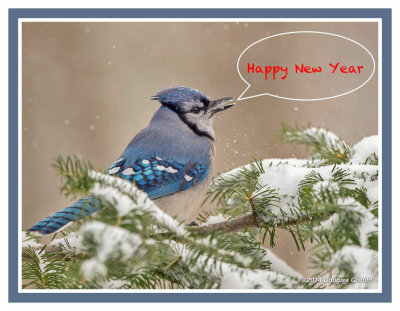 Best Wishes for a Happy, Healthy; and Prosperous New Year