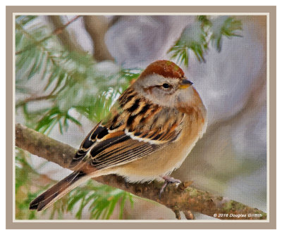 Photograph of an Original Oil (Digitally Rendered) of an American Tree Sparrow