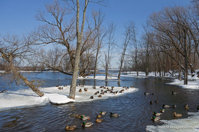 Late Winter on the Ottawa River at Mud Lake