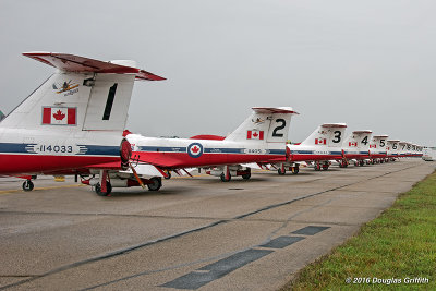 Canadair CT-114 Tutors of 431 Air Demonstration Sqdrn: The Snowbirds