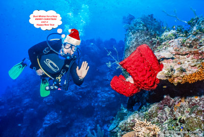 Season's Greetings from Underwater Santa