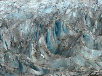 Le glacier Mendenhall / The Mendenhall Glacier