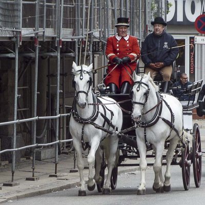 Copenhague / Copenhagen