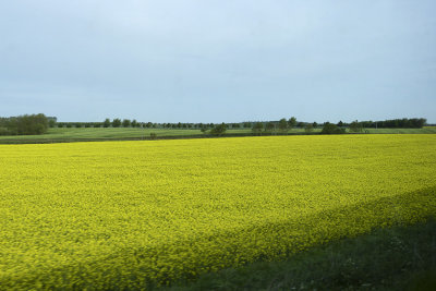 Campagne allemande / German countryside