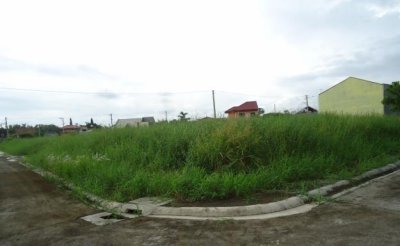San Lorenzo Village Makati Vacant Lots for Sale