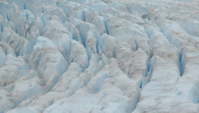 Medenhall glacier