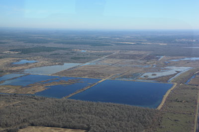 Red Slough WMA - Reservoirs and Units 27A & 27B.