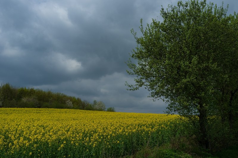 Storm Watch