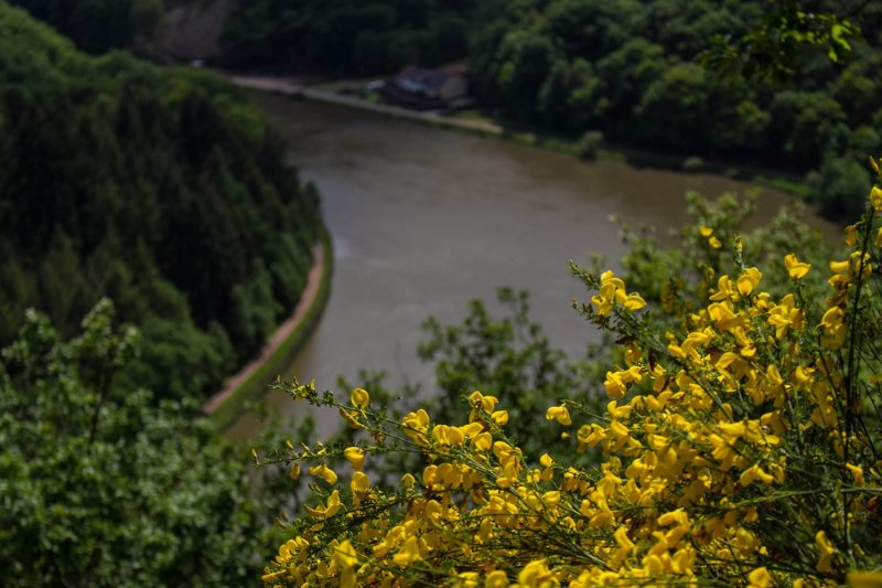 Spring at the River