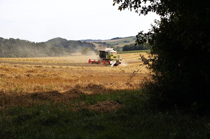 Harvest