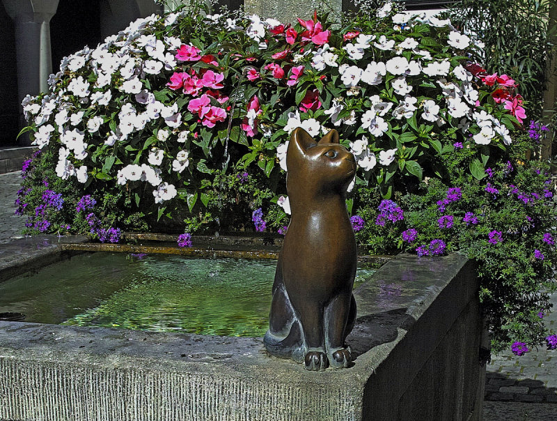 Fountain Cat