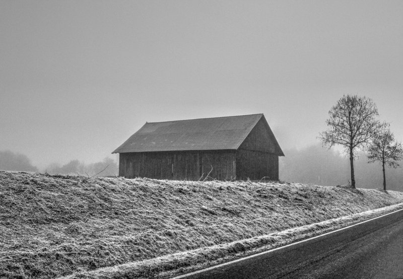Hay Barn in the Fog