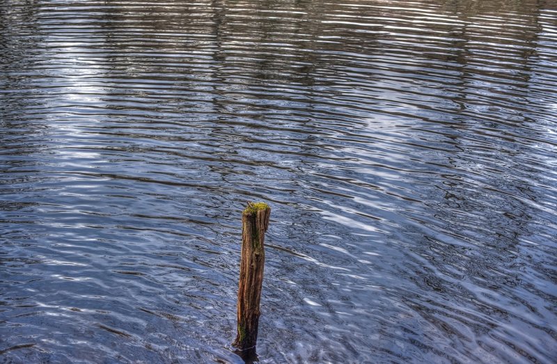 Ripples