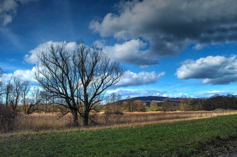 March Sky