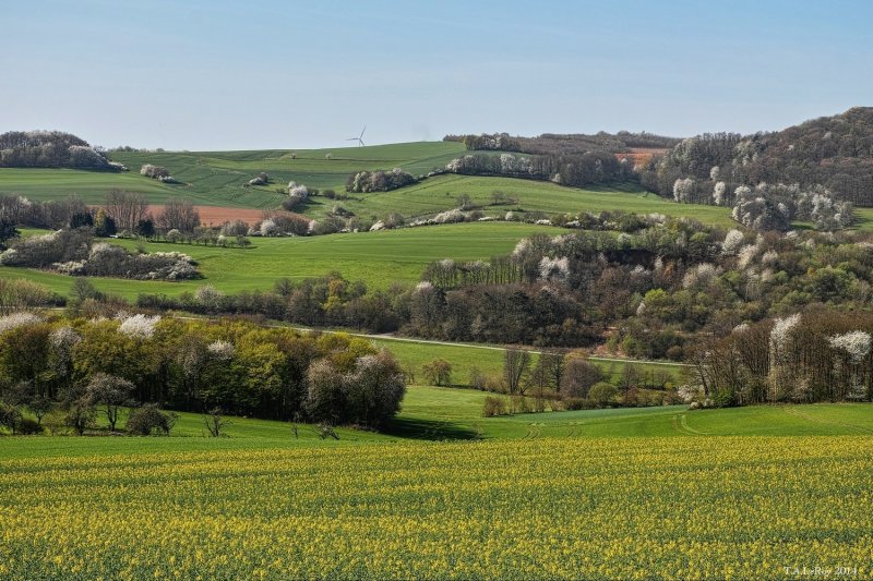 View from Sellberg 