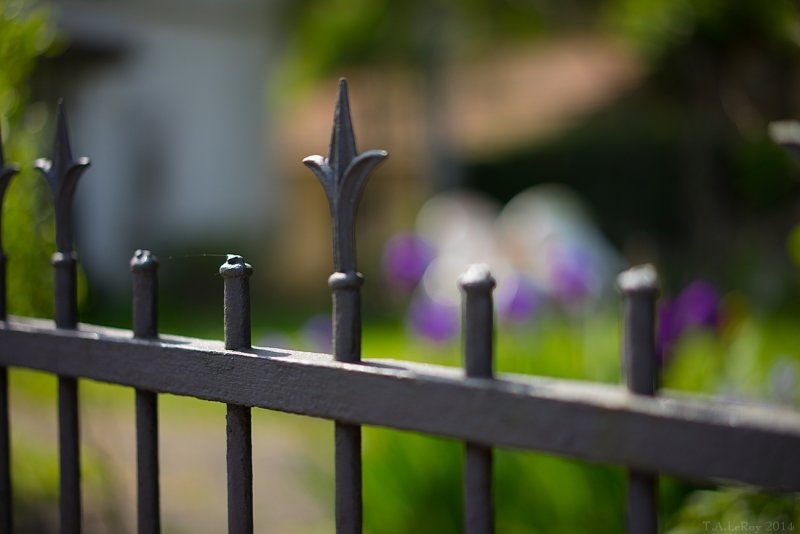 Neighbor's Fence