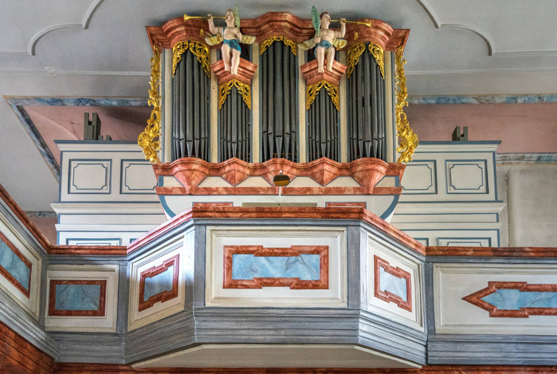 Organ