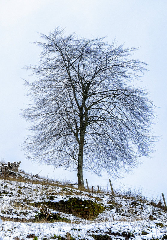 Cold